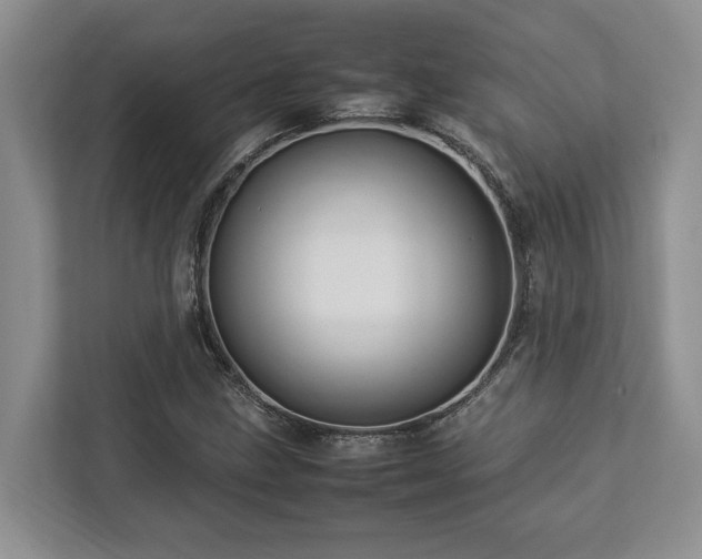 X0000112951211200908241336