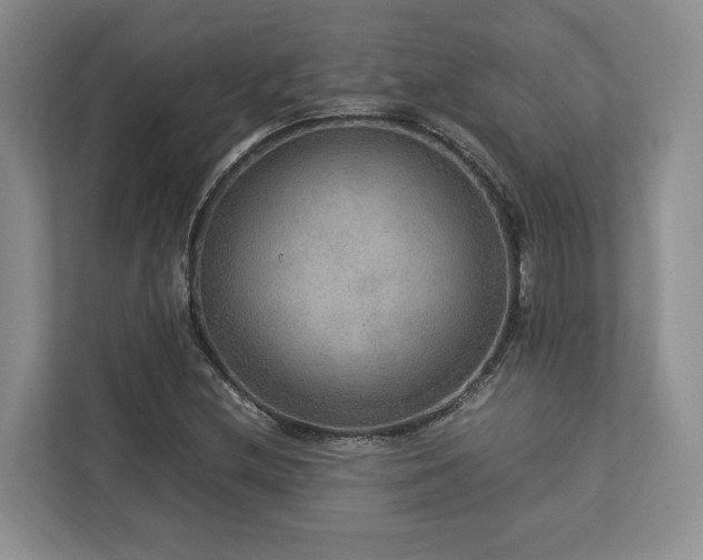 X0000112951212200908241336
