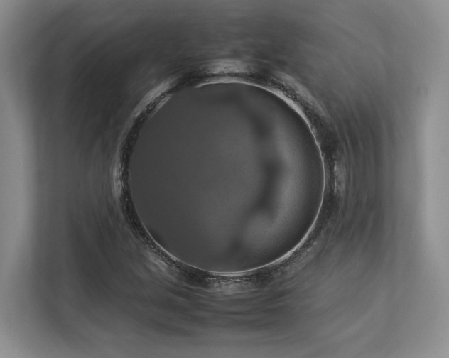 X0000112951213200908241336