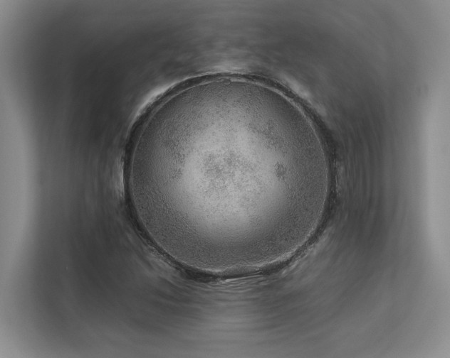 X0000112951214200908241336
