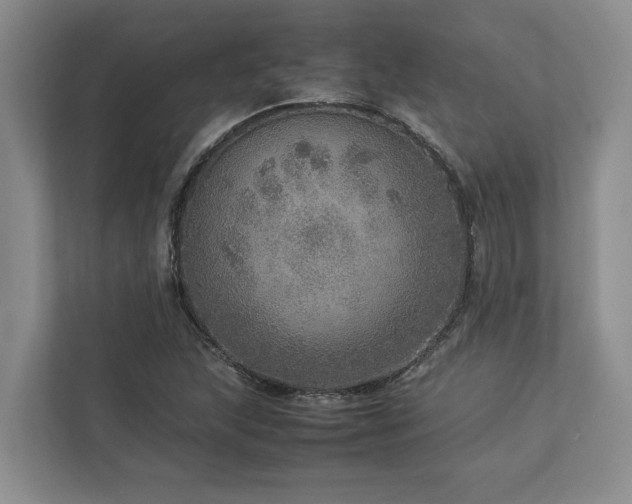 X0000112951215200908241336