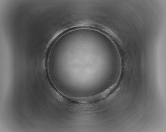 X0000112951216200908241336