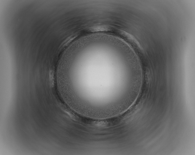 X0000112951217200908241336