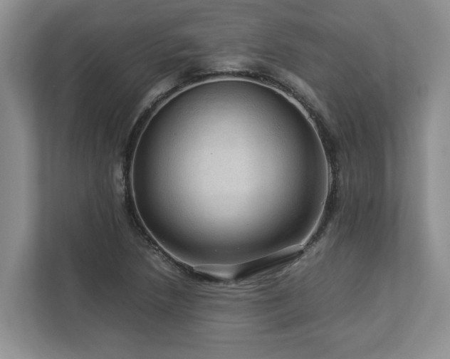 X0000112951218200908241336