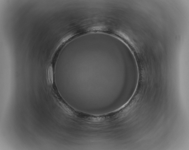 X0000112951219200908241336