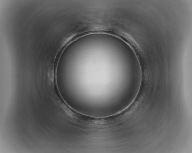 X0000112951220200908241336