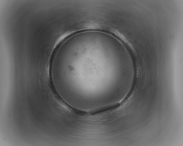 X0000112951222200908241336