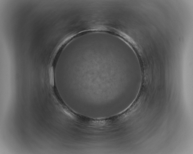 X0000112951223200908241336