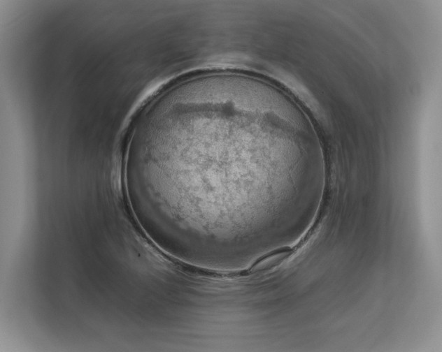 X0000112951224200908241336