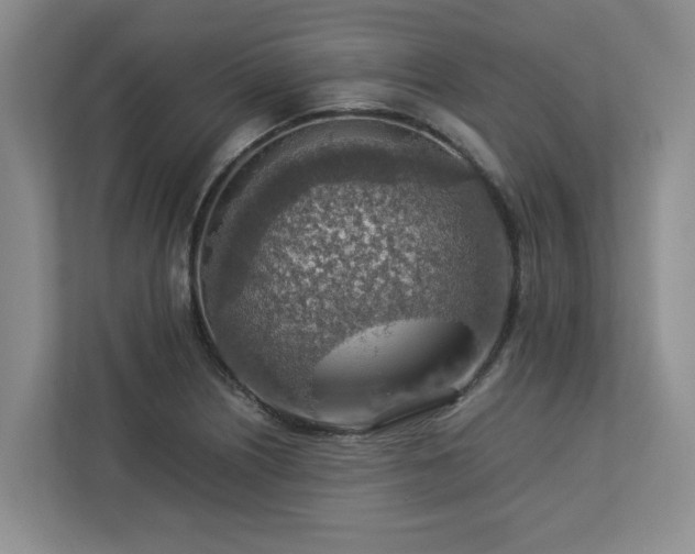 X0000112951226200908241336