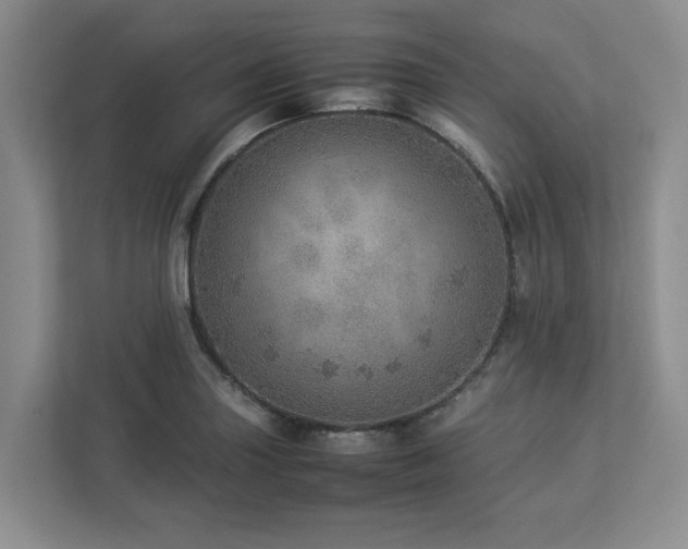 X0000112951227200908241336