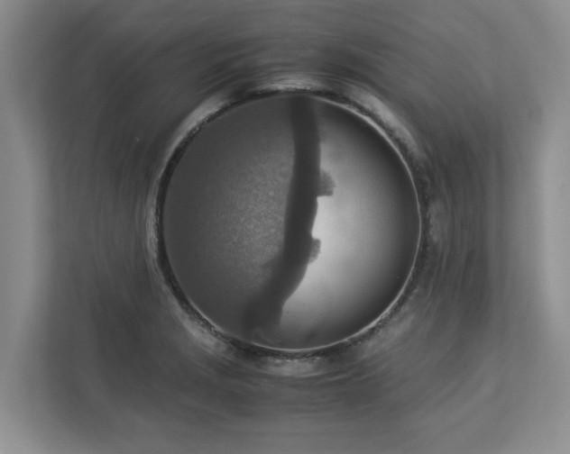 X0000112951229200908241336