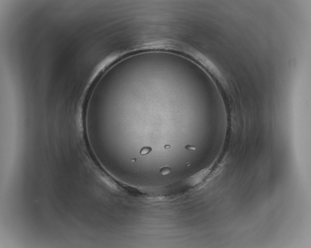 X0000112951230200908241336