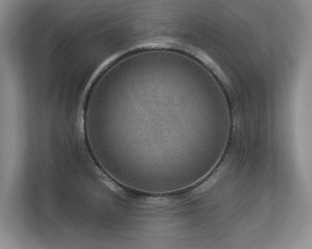 X0000112951232200908241336