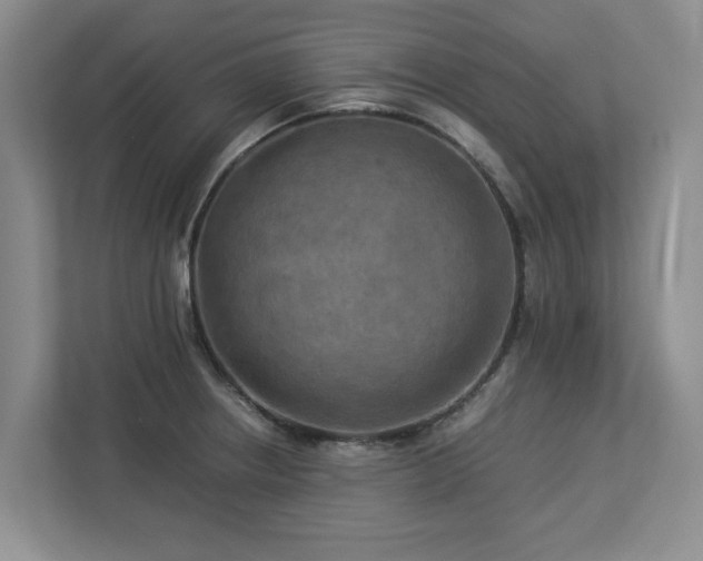 X0000112951234200908241336