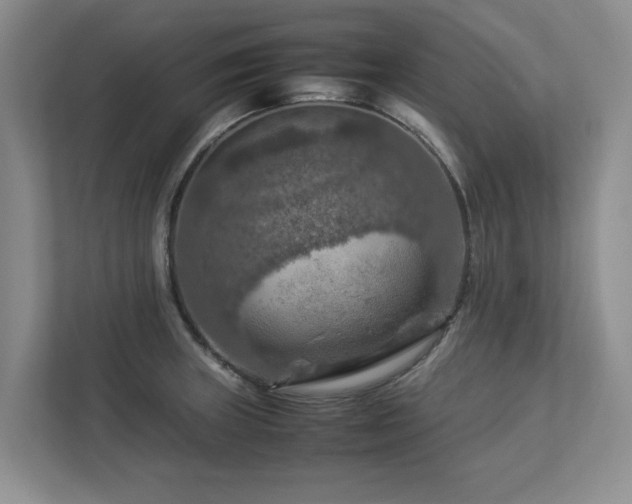 X0000112951235200908241336