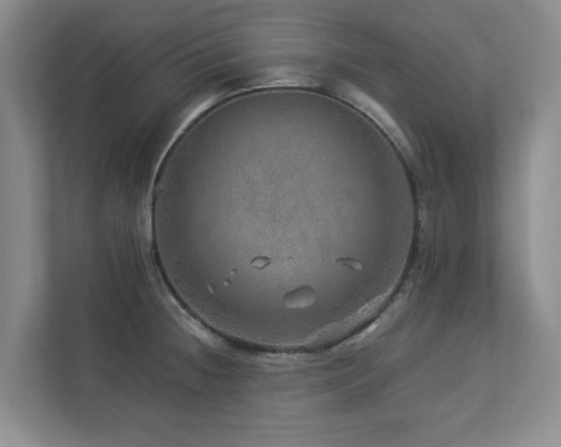X0000112951236200908241336