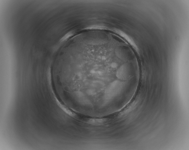 X0000112951237200908241336
