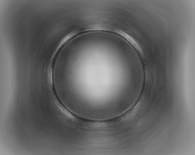 X0000112951238200908241336