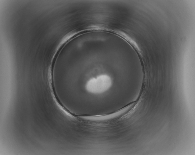 X0000112951239200908241336