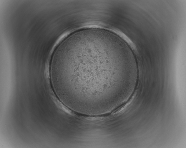 X0000112951240200908241336