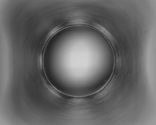 X0000112951242200908241336