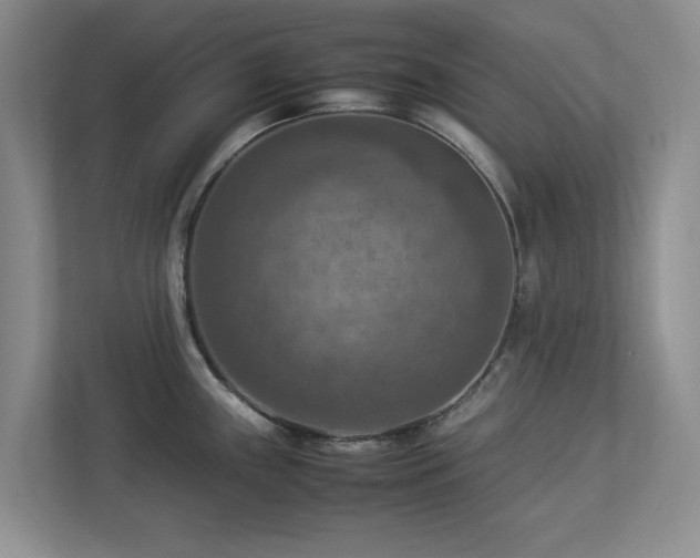 X0000112951243200908241336