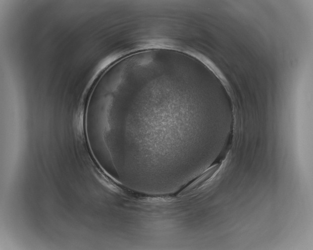 X0000112951246200908241336