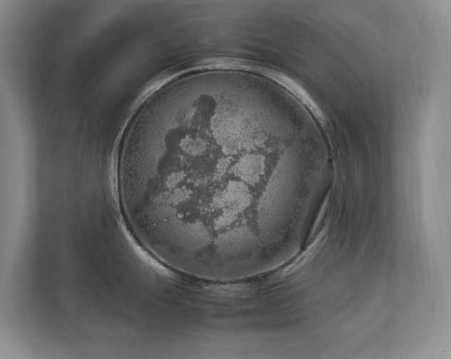 X0000112951247200908241336