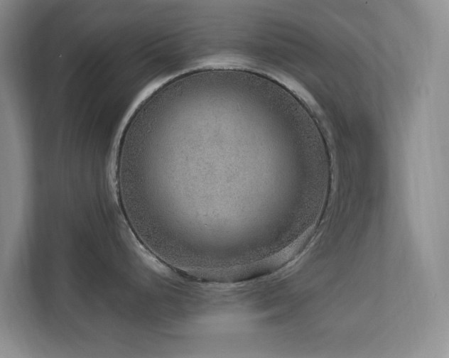 X0000112951248200908241336