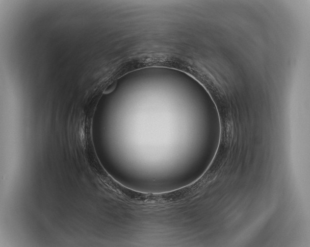 X0000112951250200908241336