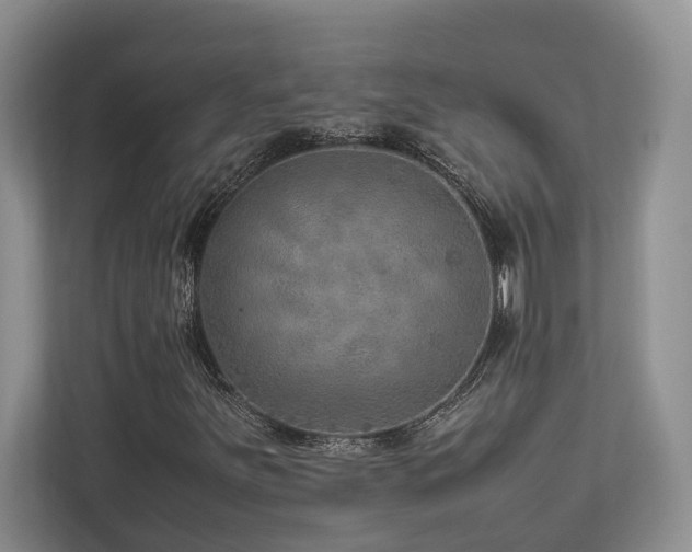 X0000112951251200908241336