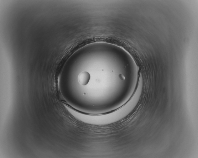 X0000112951252200908241336