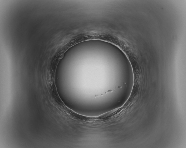 X0000112951253200908241336