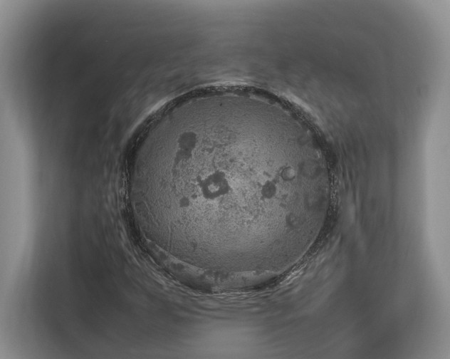 X0000112951255200908241336
