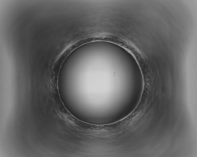 X0000112951256200908241336