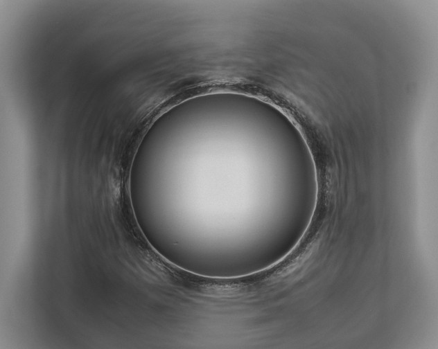 X0000112951257200908241335
