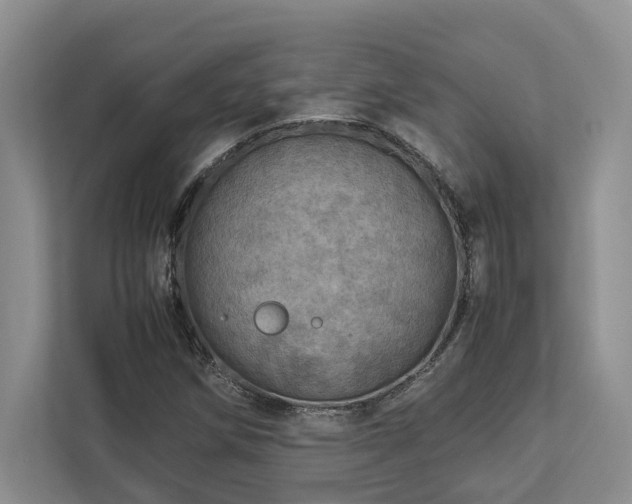 X0000112951258200908241335