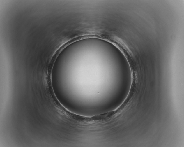 X0000112951260200908241335