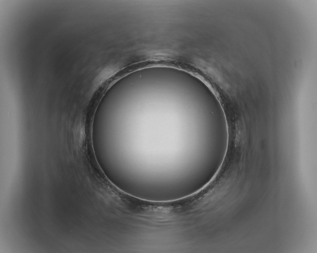 X0000112951261200908241335