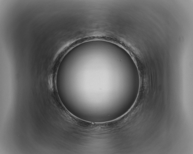 X0000112951262200908241335