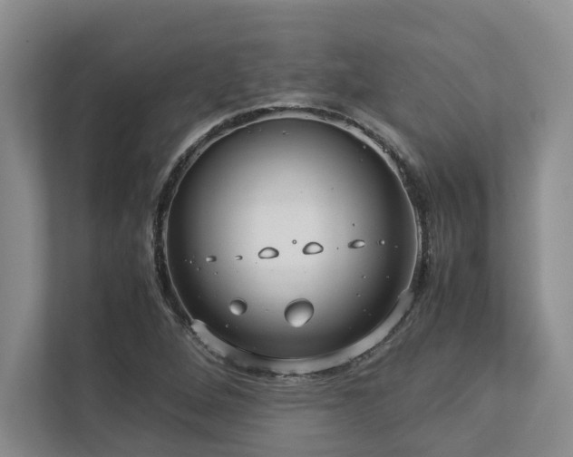 X0000112951264200908241335