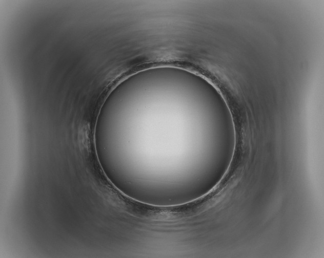 X0000112951265200908241335
