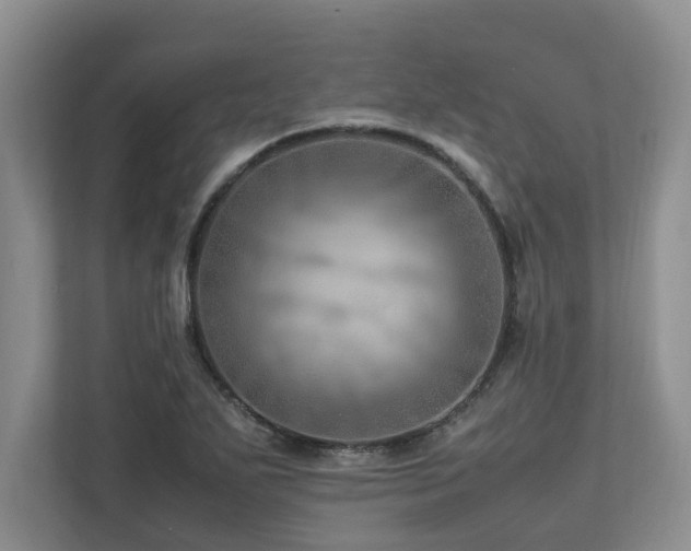 X0000112951271200908241335