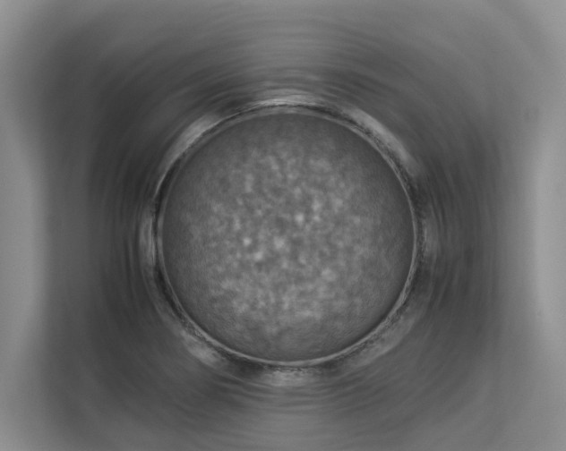 X0000112951274200908241335