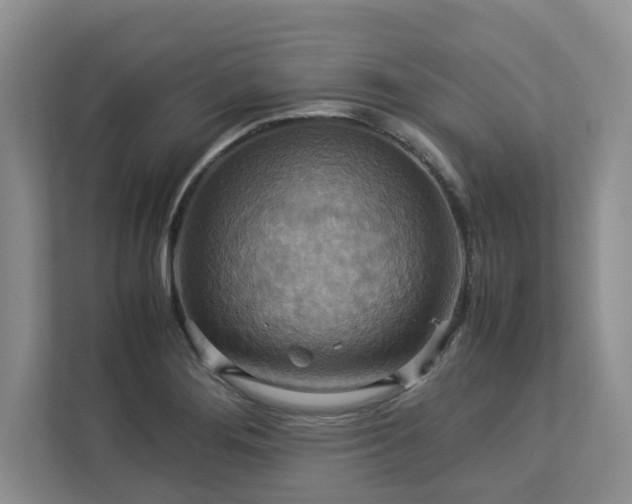 X0000112951276200908241335