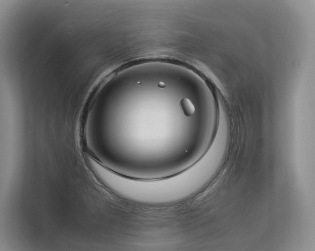 X0000112951277200908241335