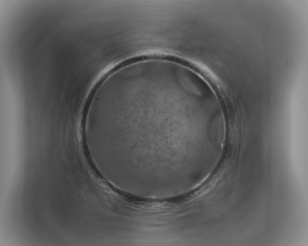 X0000112951279200908241335