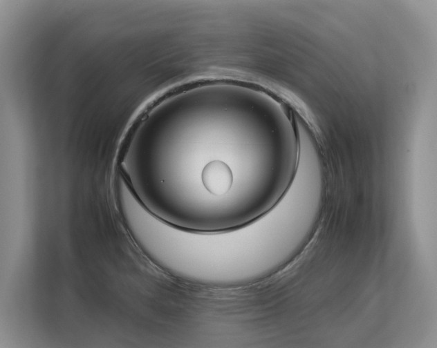 X0000112951280200908241335