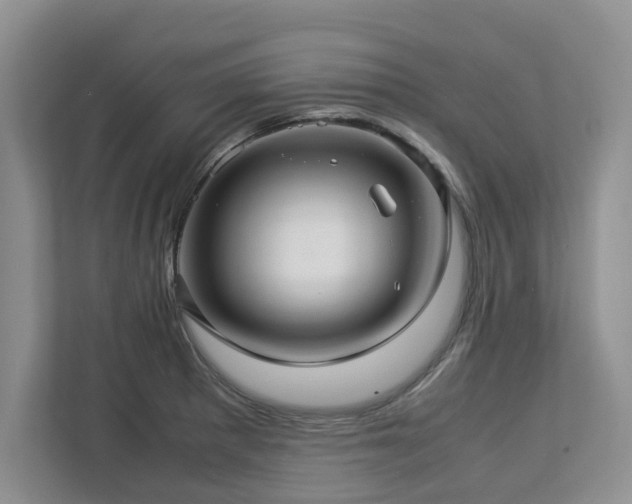 X0000112951281200908241335
